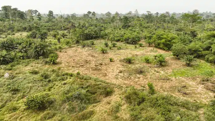 Landscape Management Boards established to safeguard forest resources