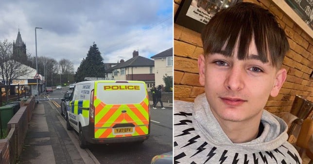 First image of teenager who was fatally stabbed after getting out of a taxi