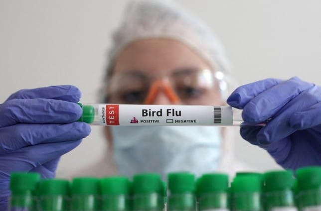 China records the world’s first human death from a rare kind of bird flu