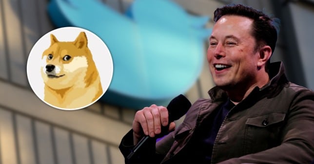 Elon Musk transforms Twitter logo into a Doge image