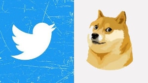 Why Elon Musk replaced Twitter bird logo with a dog icon