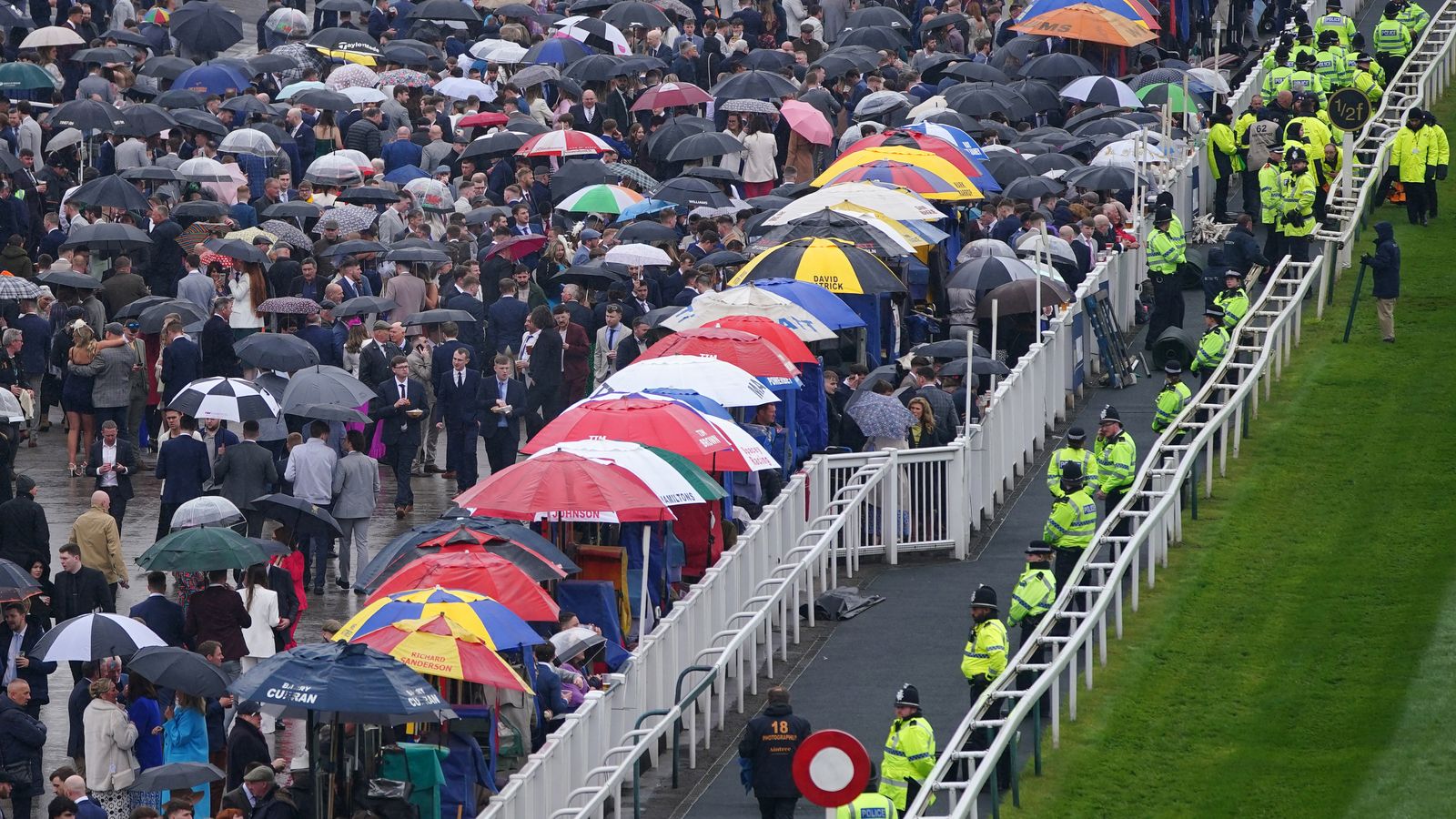 Grand National: Animal Rising demonstrates promise to work to halt the race