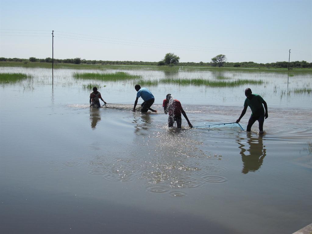 Namibians cautioned against eating fishes from floodwater