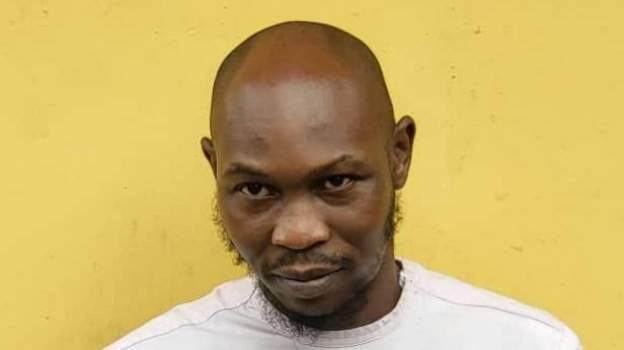 Nigeria: Seun Kuti released on bail