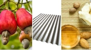 Top 10 non-traditional export products for 2022