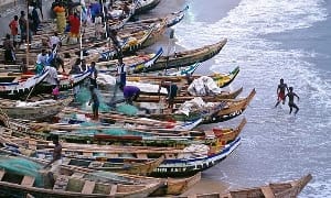 $254m gained from fish export in 2022 – Fisheries minister