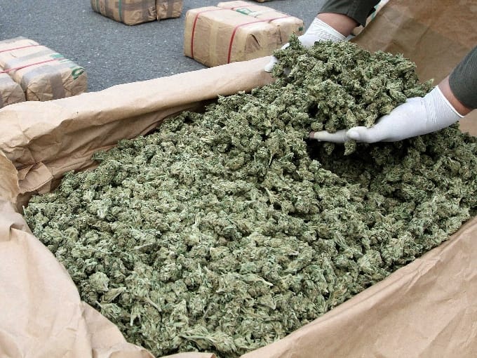 Supreme Court strikes out cannabis cultivation law in Ghana