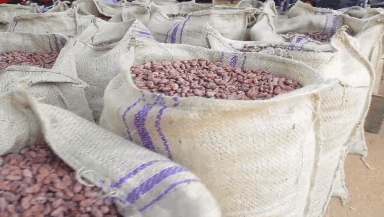 Minority defends Mahama’s claims of cocoa sector collapsing