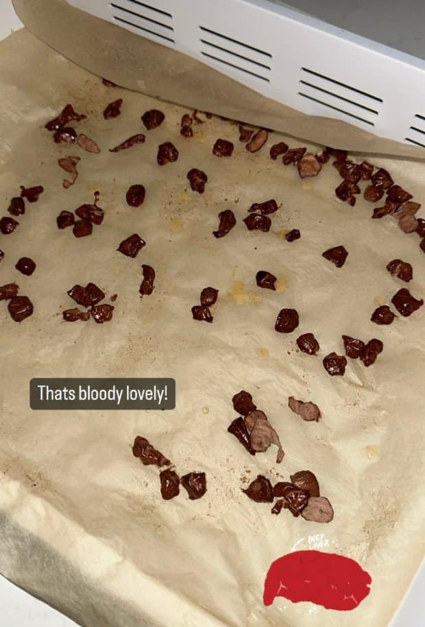 Haaland’s bizzare meal “disgust” fans