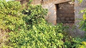 Denkyira Kyekyewere residents appeal for completion of toilet facility