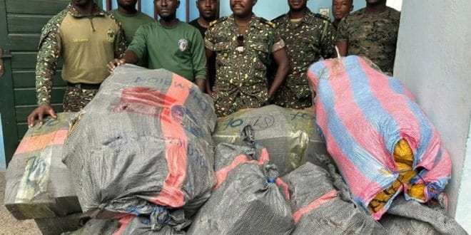 Volta Region: GIS seizes about 900 slabs of Indian hemp