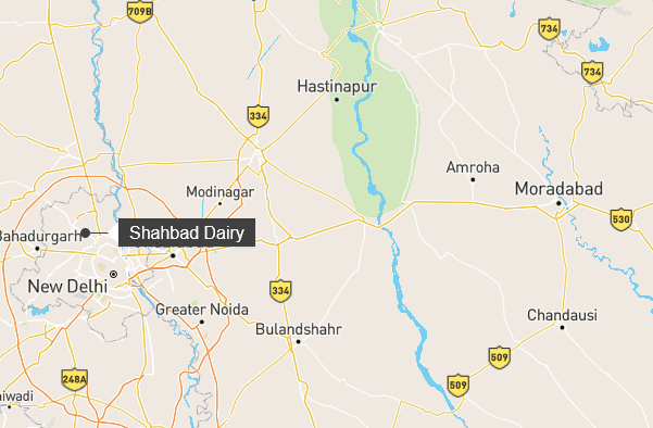 Indian teenager girl publicly stabbed to death