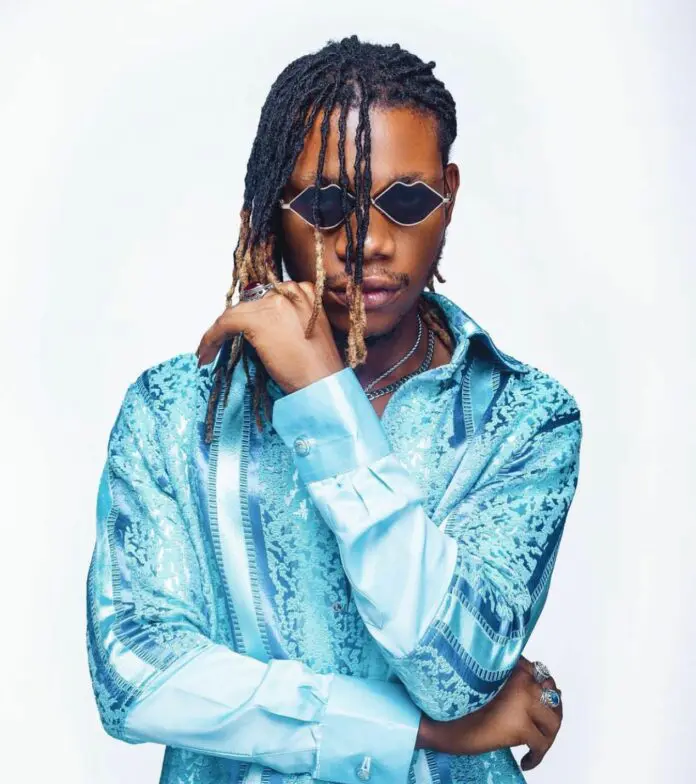 DSL wins Unsung Category at 2023 VGMA