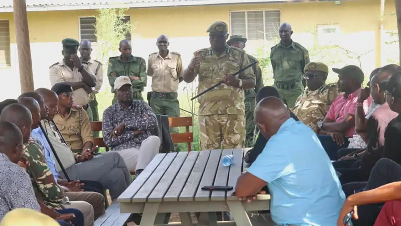Ten lions killed in Kenya as human-wildlife conflict deteriorates