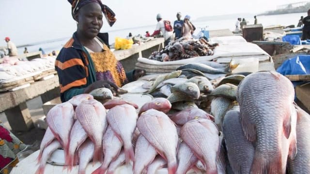 Ghana’s Fisheries Ministry to decrease Fish imports