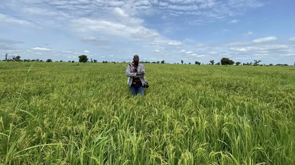 Nigeria: Kidnapping gangs drive away wealthy Nigerian farmers