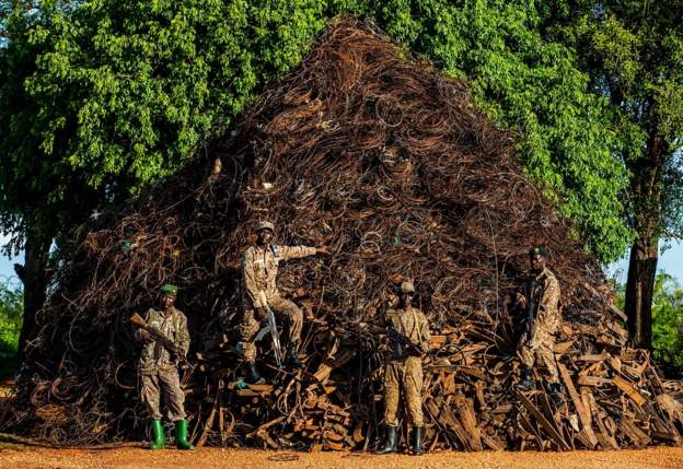 Ugandan rangers construct a’mountain’ out of animal traps