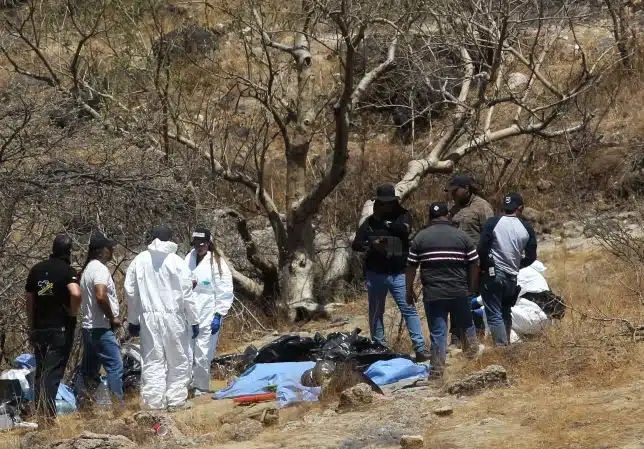 Mexican police find body parts in search for missing call center workers