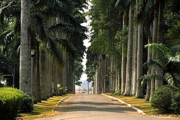 Aburi Gardens surpasses Kakum National Park as top tourist attraction in 2022