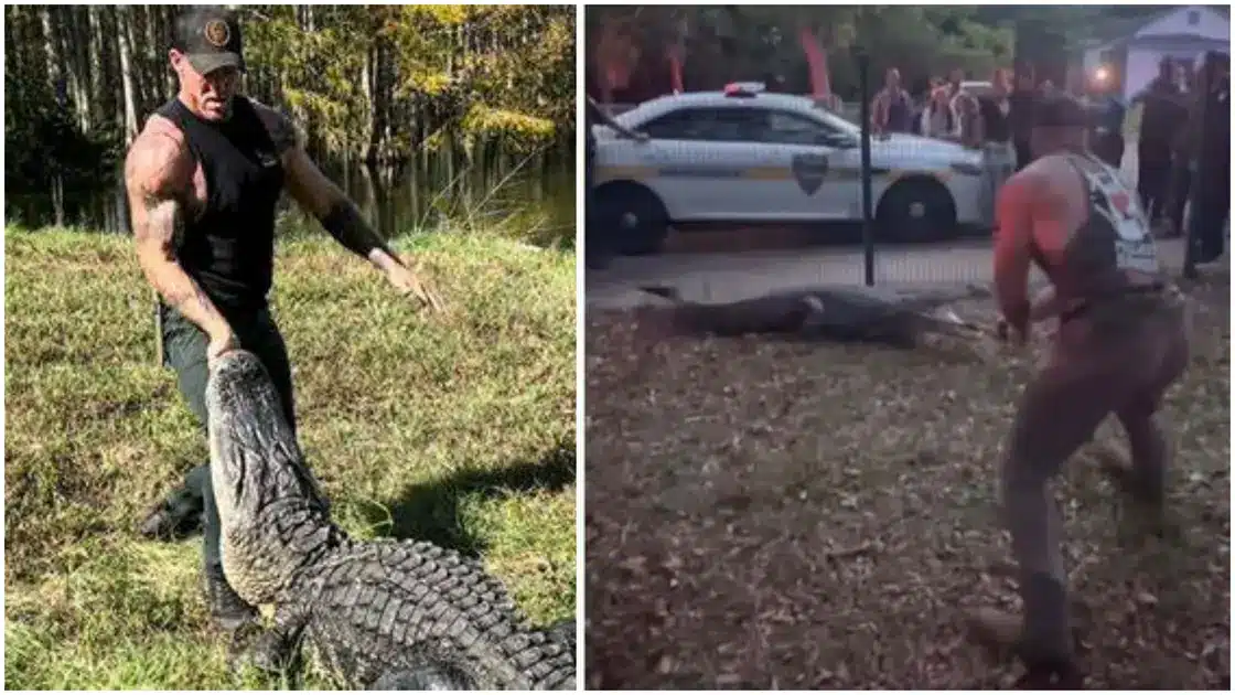 MMA fighter saves students from monster alligator outside school