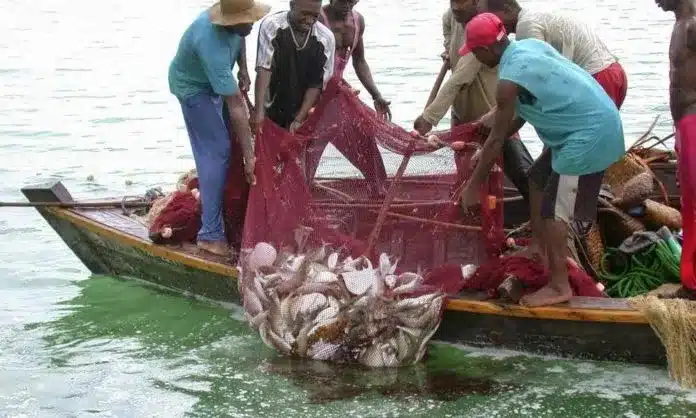 Nii Quao Donkor II bemoans bad fishing practices