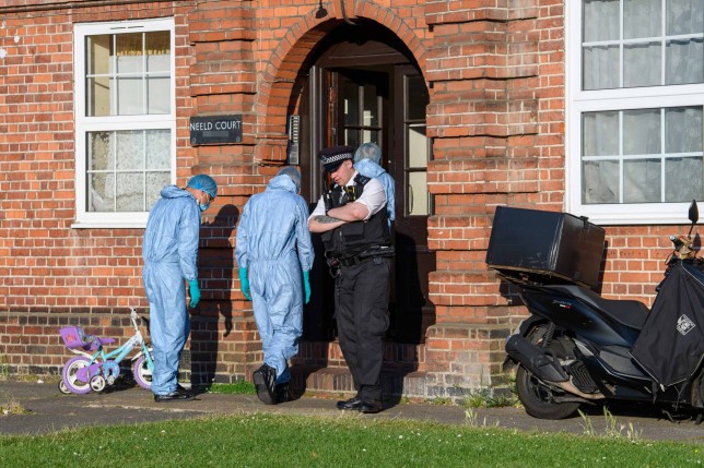 Three people in custody after lady in north London was fatally stabbed