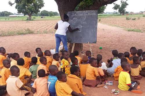Govt has completed only 17 of the 5,400 schools under trees – Report