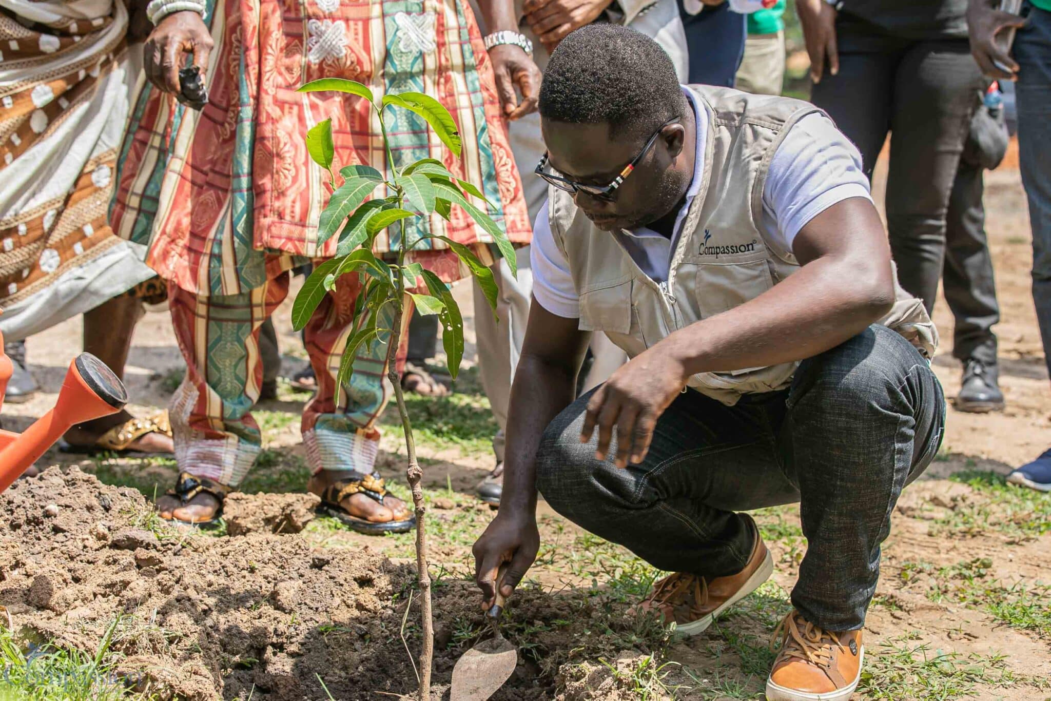 Group admonishes for intense monitoring of trees planted on Green Ghana Day