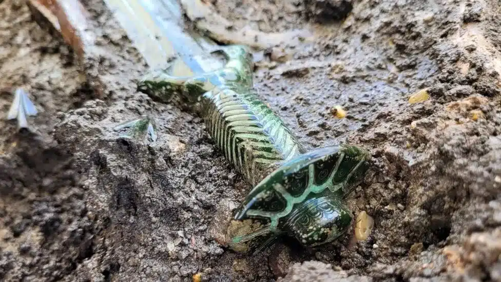 Stunning historic bronze sword discovered in Germany