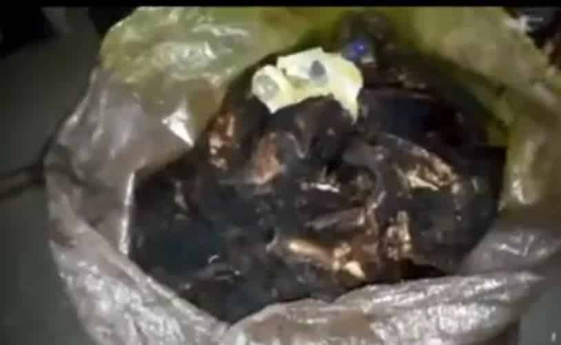 Kasoa: ASEMA seizes cow meat allegedly infected with anthrax