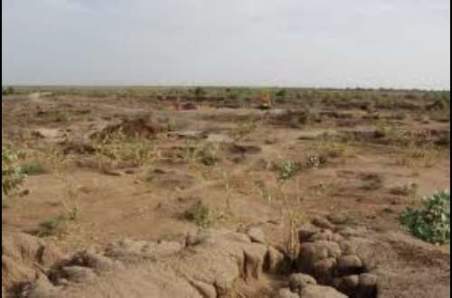 ISSER warns of desertification, calls for urgent intervention