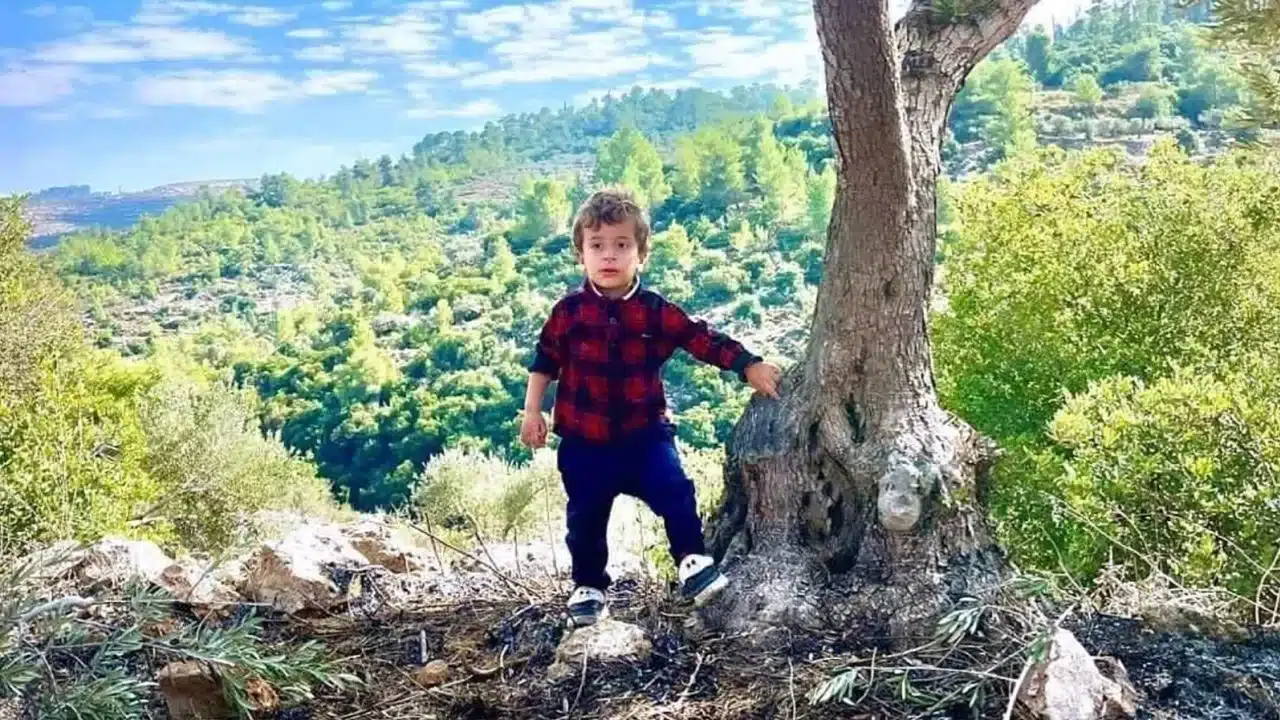 3-year-old Palestinian boy dies after being shot by Israeli troops