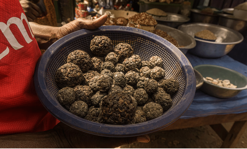 Consuming ‘dawadawa’ reduces chronic diseases — Nutritionist