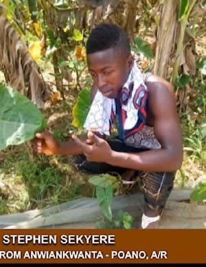 Man reportedly poisons pregnant girlfriend and son with yoghurt and fan milk