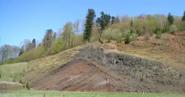 Surgeon’s remains discovered in woodland after going missing for six months