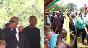 Identity of Chief who caused Akufo-Addo’s fury at Green Ghana day event revealed