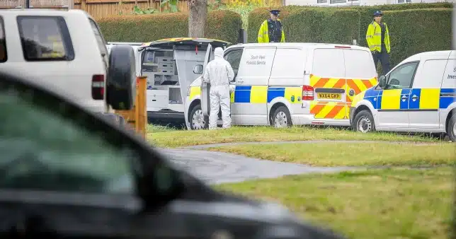 Six guys and two girls detained after a teenager was fatally stabbed