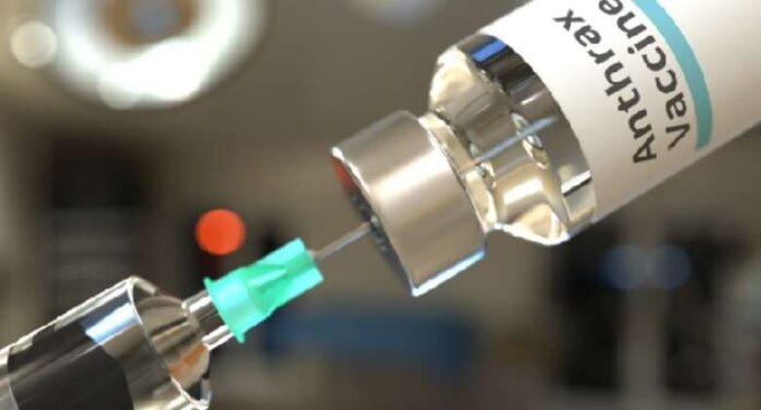 Veterinary Service expresses concern over lack of vaccines to fight anthrax disease in Bawku