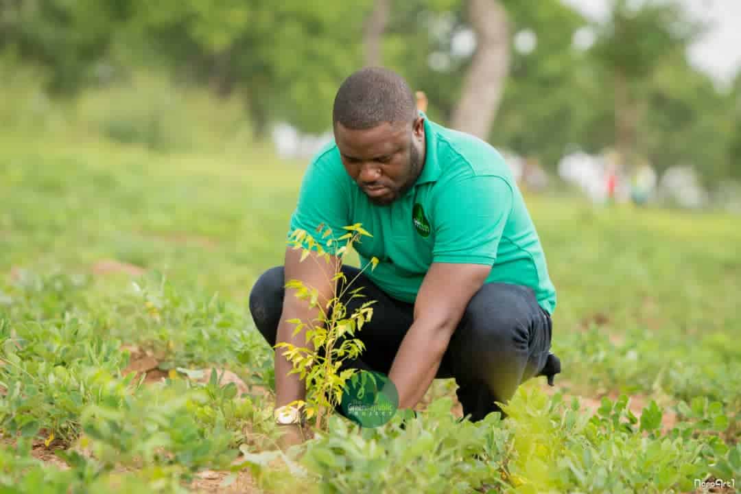 Plant more trees to check hot weather – GMet tells Ghanaians