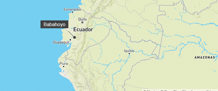 Ecuadorian woman found alive in a coffin after being assumed dead