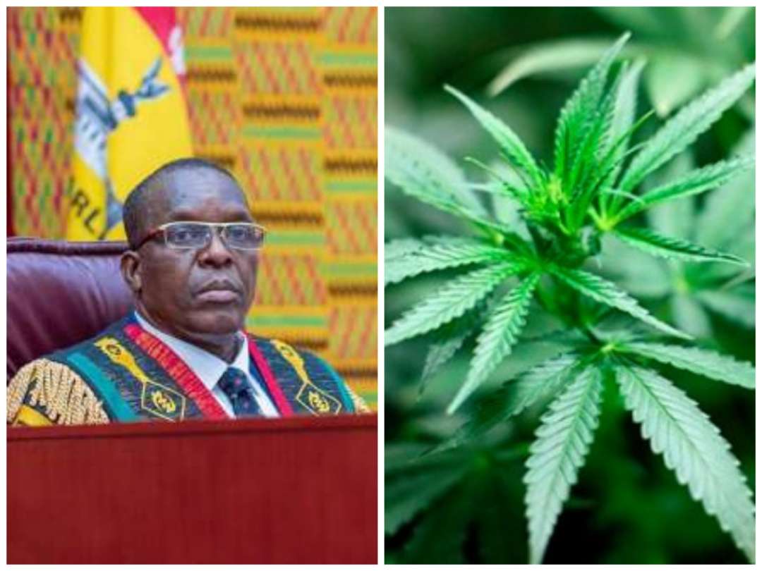 It is improper for you to strike out cannabis law without consulting us – Speaker to Supreme Court