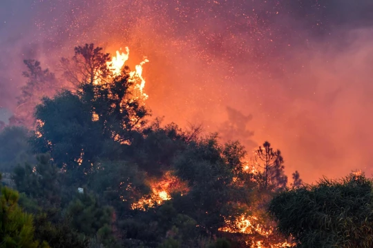 Algerian flames spread, resulting in 25 fatalities and 1,500 evacuations