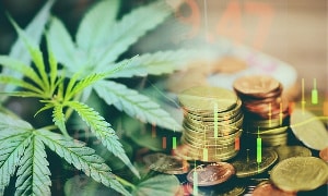 Parliament approves industrial utilization of Cannabis