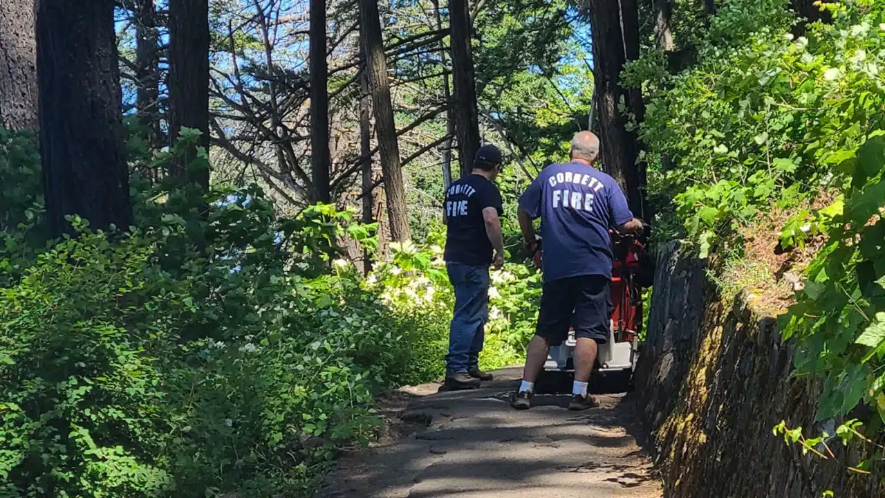 Father dies after falling more than 100 feet