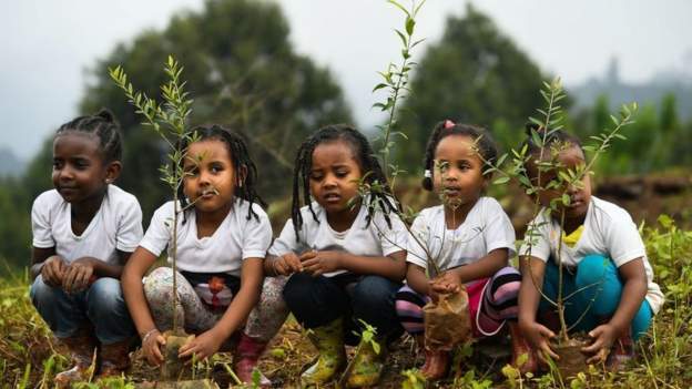 Ethiopia to embark on mass tree-planting exercise