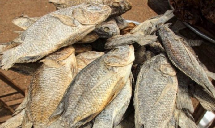 Man in police grip for stealing ‘koobi’