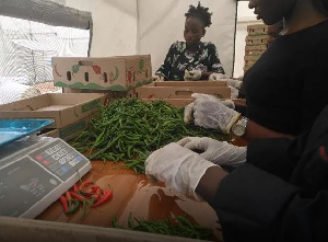 Chilli exported by GIRSAL in first commercial trial