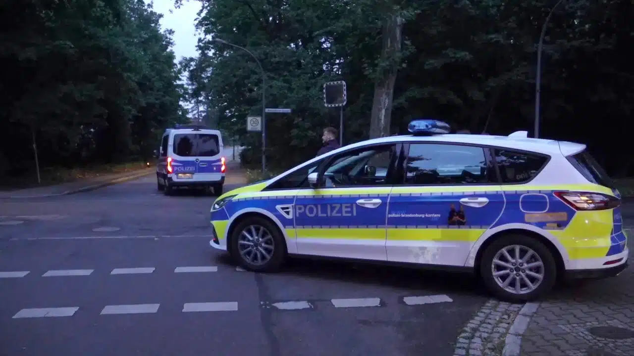 Germany issues warning about possible lioness on loose in Berlin