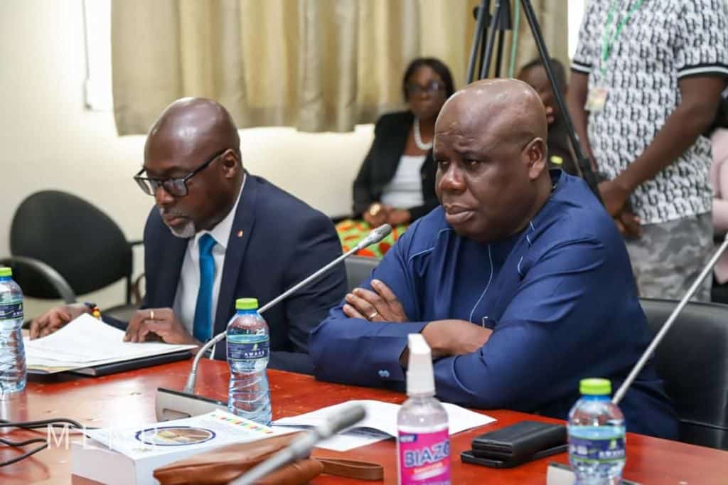 I never said govt uses land guards to reclaim stolen lands – Lands Ministry Chief Director