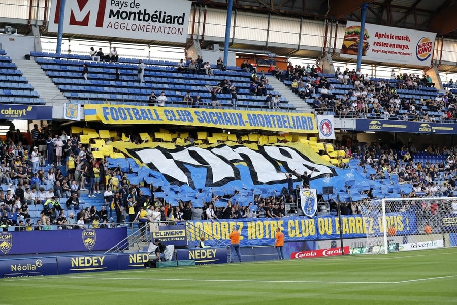 Sochaux suffer demotion after owners financial constraints